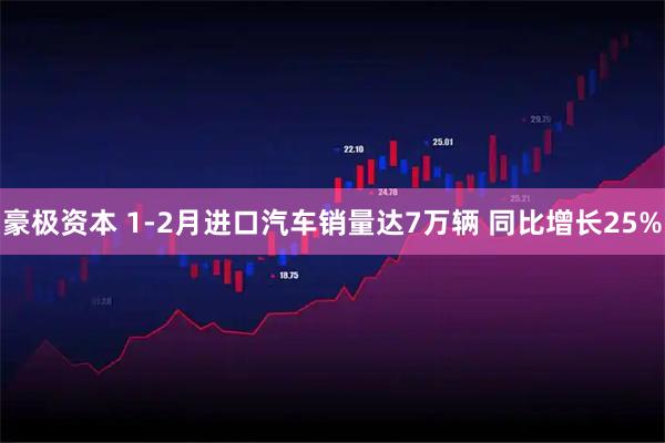 豪极资本 1-2月进口汽车销量达7万辆 同比增长25%