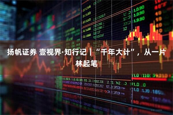扬帆证券 壹视界·知行记｜“千年大计”，从一片林起笔